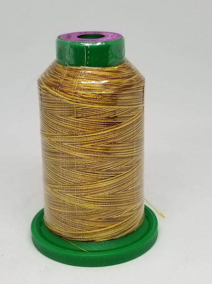 Embroidery Thread Variegated (9916 Rainbow)