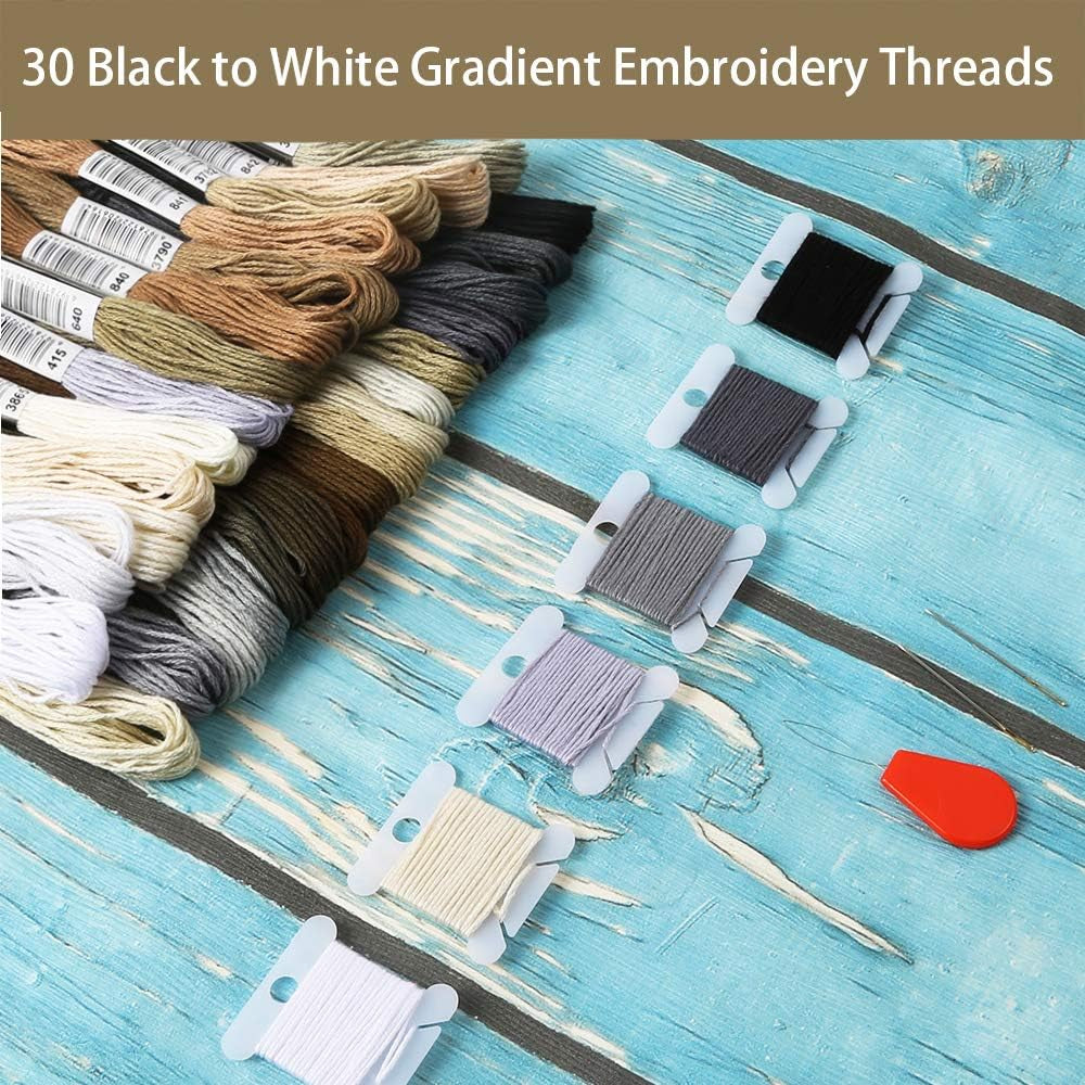 30 Skeins Friendship Bracelets Floss, Black to White Gradient Grey Embroidery Floss, Cross Stitch Threads with 6 Floss Bobbins, 2 Embroidery Needles and Needle Threader