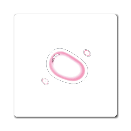 Soft Blob Gradient Magnet | Aesthetic Fridge Magnet Set | Galentine’s & Valentine Gift for Gen Z | Y2K Minimal-Modern