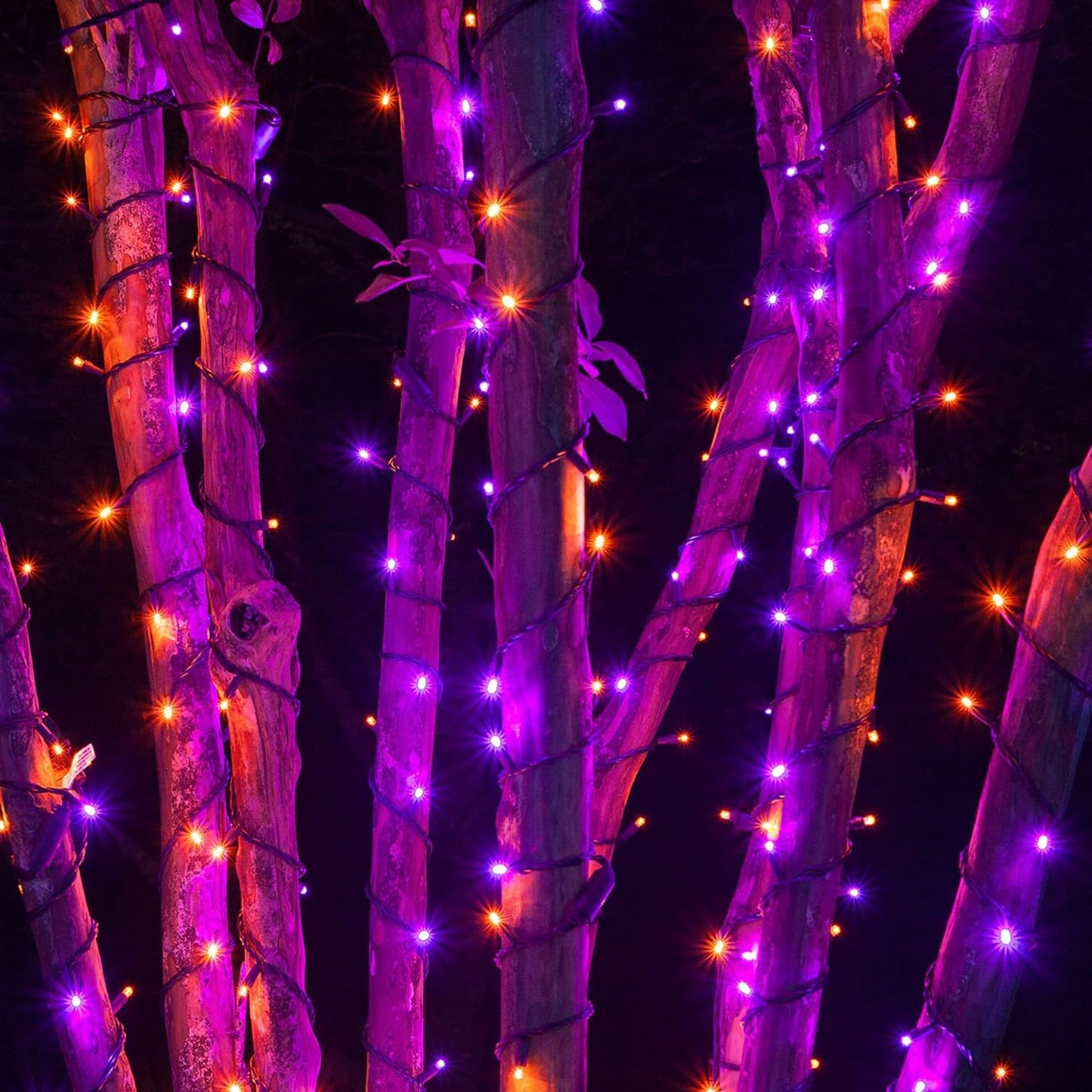Halloween 300 LED String Lights, 100FT String Lights with 8 Lighting Modes, Halloween Decorations for Party Carnival Supplies, Outdoor Yard Garden Decor (Purple & Orange)