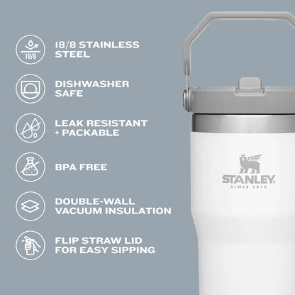 Iceflow Stainless Steel Tumbler with Straw, Vacuum Insulated Water Bottle for Home, Office or Car, Reusable Cup with Straw Leak Resistant Flip