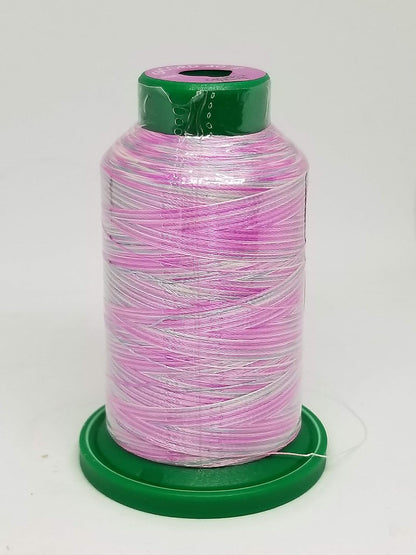 Embroidery Thread Variegated (9916 Rainbow)