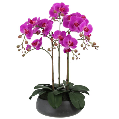 Faux 24” Phalaenopsis Orchid