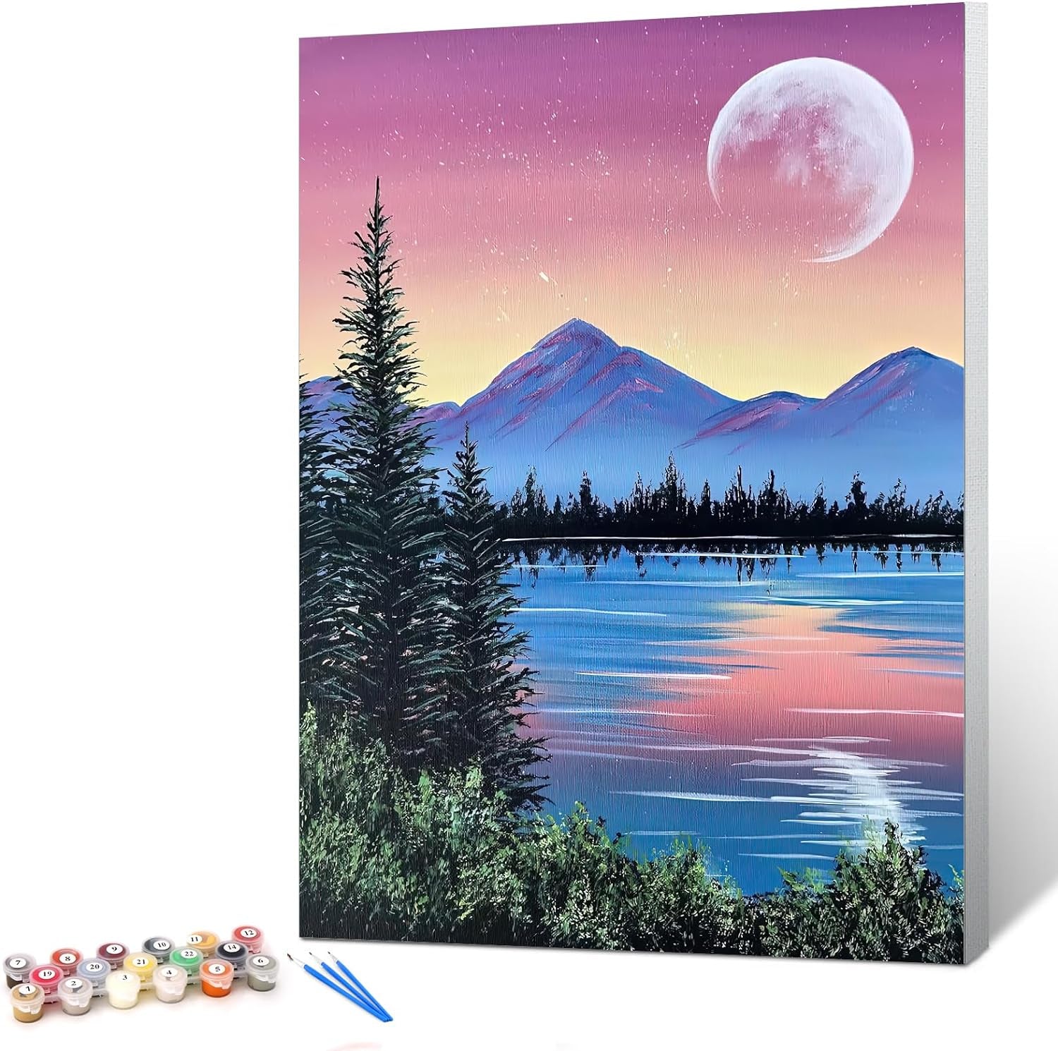 Paint by Numbers for Adults Beginner & Kids Ages 8-12 with Wooden Frame Easy Acrylic on Canvas 9X12 Inch with Paints and Brushes, Vase Flower(Include Framed)