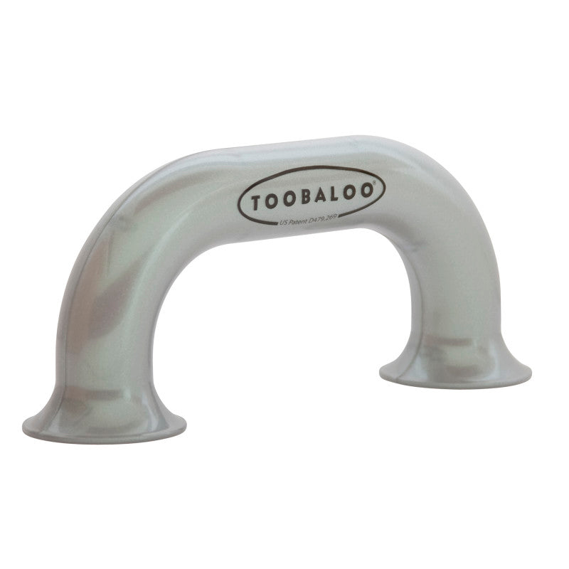 Toobaloo® Auditory Feedback Educational Tool, Silver