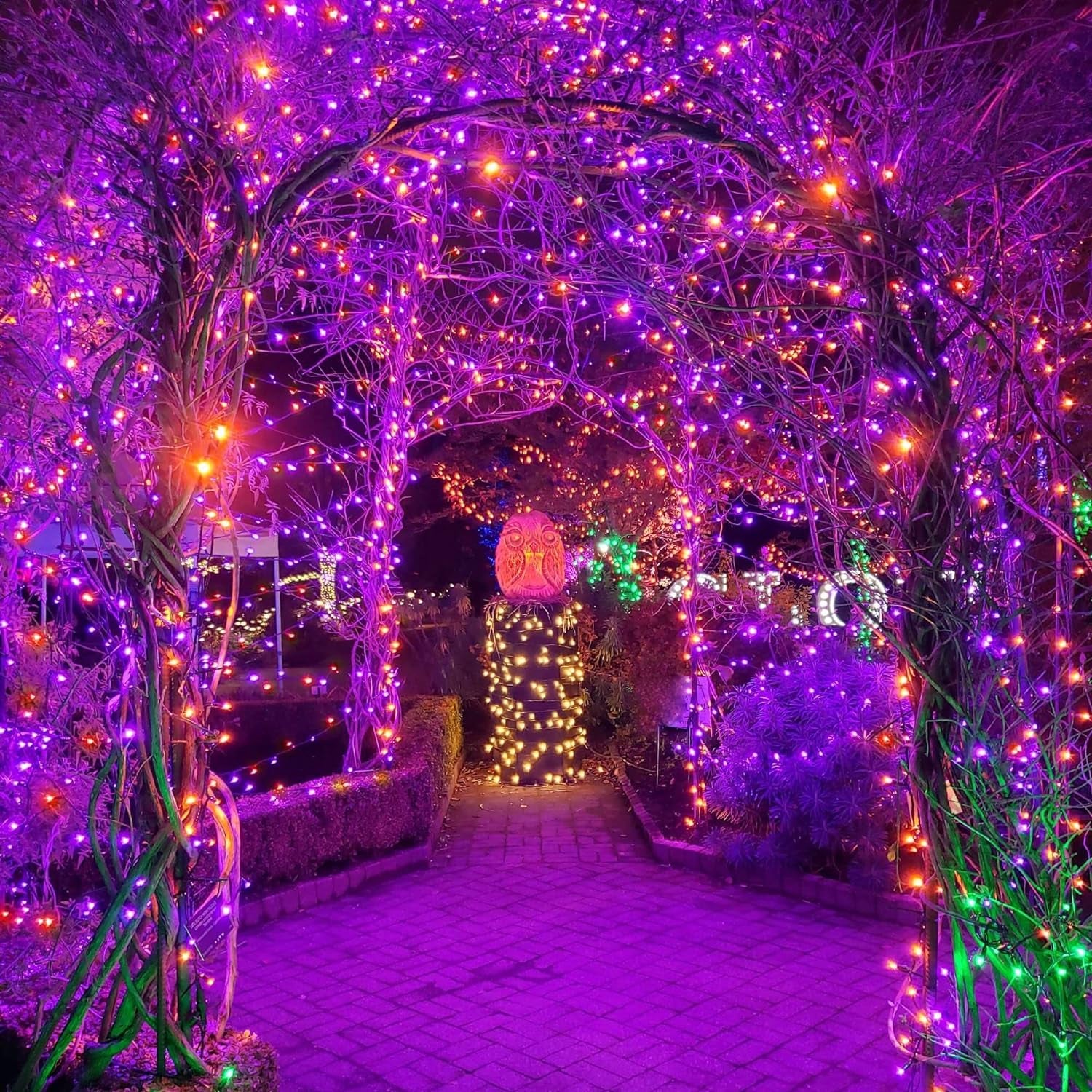 300 LED Purple Halloween Lights, 99FT Connectable 8 Lighting Modes Plug in Fairy Lights, Waterproof for Outdoor, Halloween Christmas Wedding Party Garden Decorations (Purple