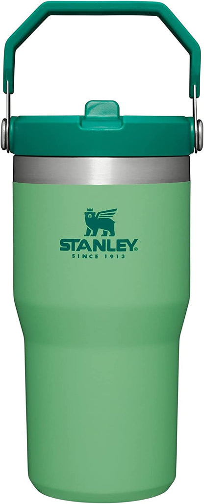 Stainless Steel Tumbler with Straw