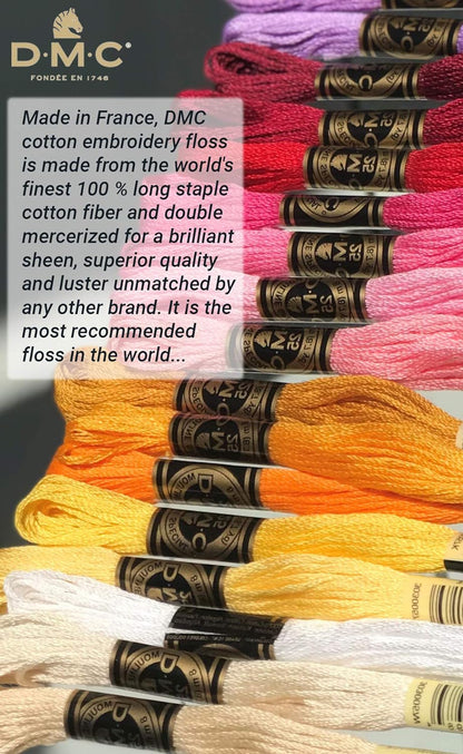 DMC Embroidery Floss Pack, Popular Colors, DMC Embroidery Thread, DMC Floss Kit Include 36 Assorted Color Bundle with DMC Mouline Cotton White/Black and DMC Cross Stitch Hand Needles.