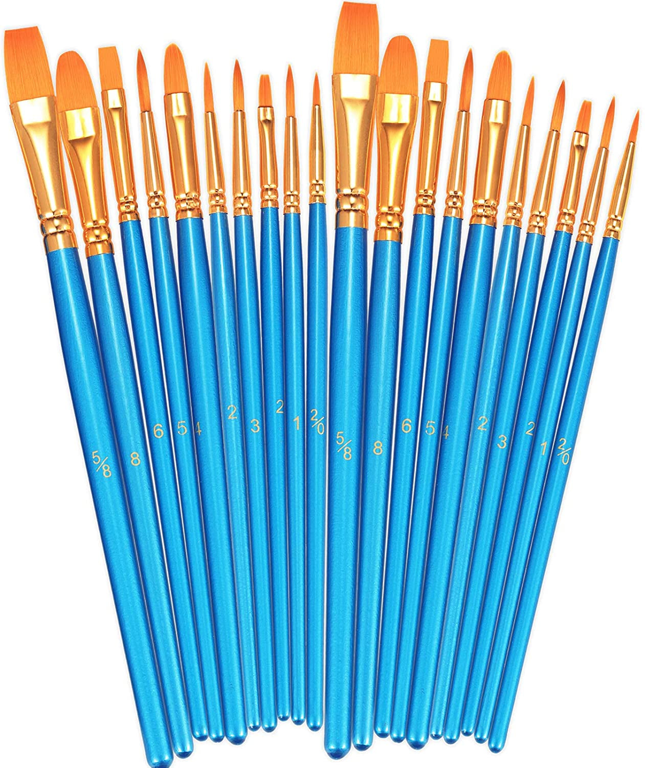 Paint Brushes Set, 2 Pack 20 Pcs round Pointed Tip Paintbrushes Nylon Hair Artist Acrylic Paint Brushes for Acrylic Oil Watercolor, Face Nail Art, Miniature Detailing & Rock Painting, Orange