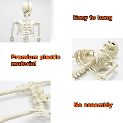 3FT Halloween Skeleton