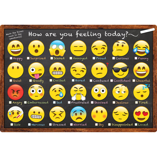 Smart Poly™ Chart, 13" x 19", Emotions Icon How Are You Feeling