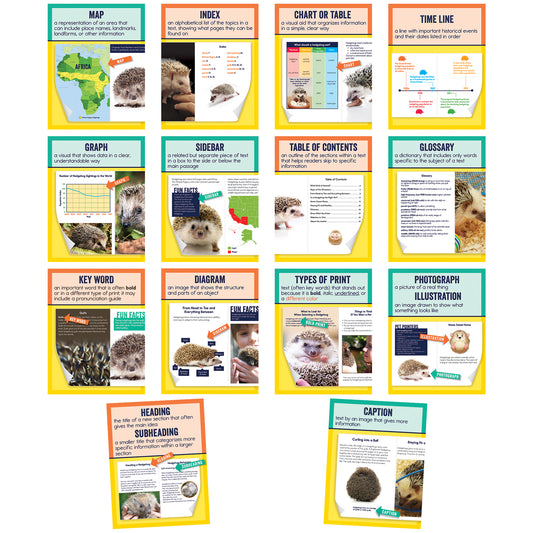 Mini Posters: Nonfiction Text Features Poster Set, Grade 1-6, 14 Pieces