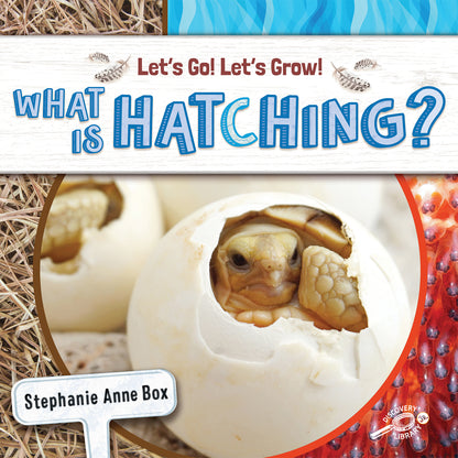 What Is Hatching? Reader, Grade K-2, Paperback