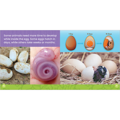 What Is Hatching? Reader, Grade K-2, Paperback