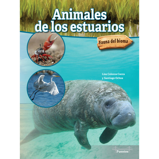 Animales de los estuarios Paperback