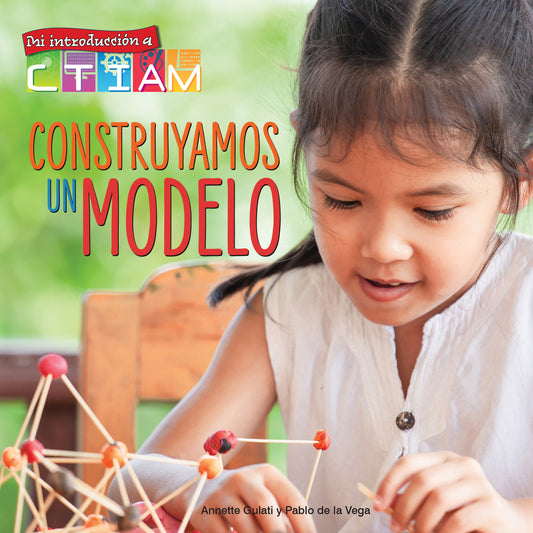 Construyamos un modelo Paperback