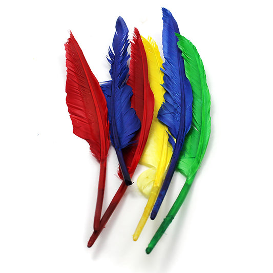 Quill Feathers, 10" & 12", 6 Count