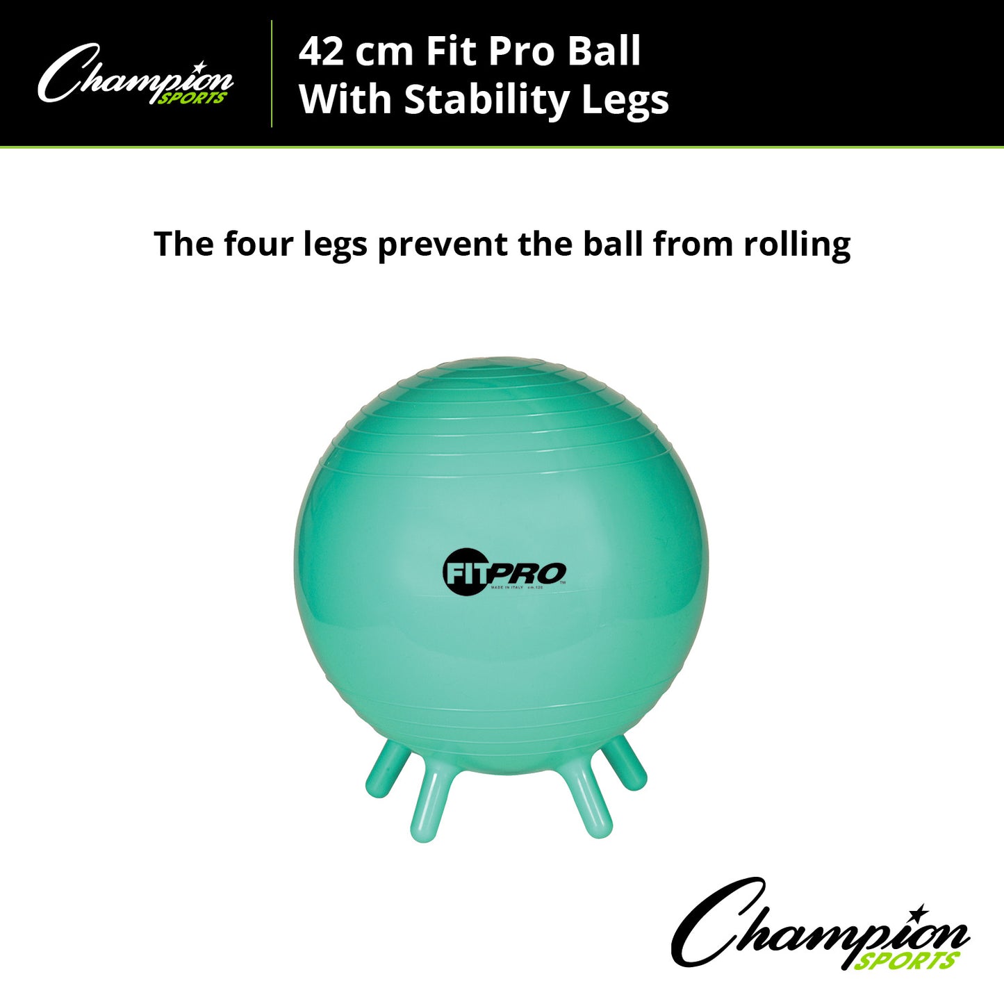 FitPro Ball with Stability Legs, 42cm