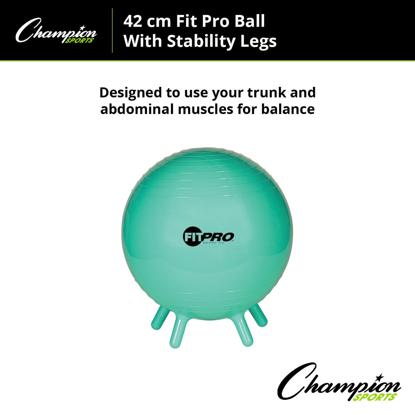 FitPro Ball with Stability Legs, 42cm