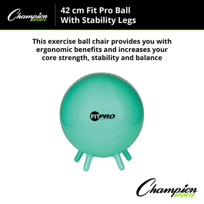 FitPro Ball with Stability Legs, 42cm