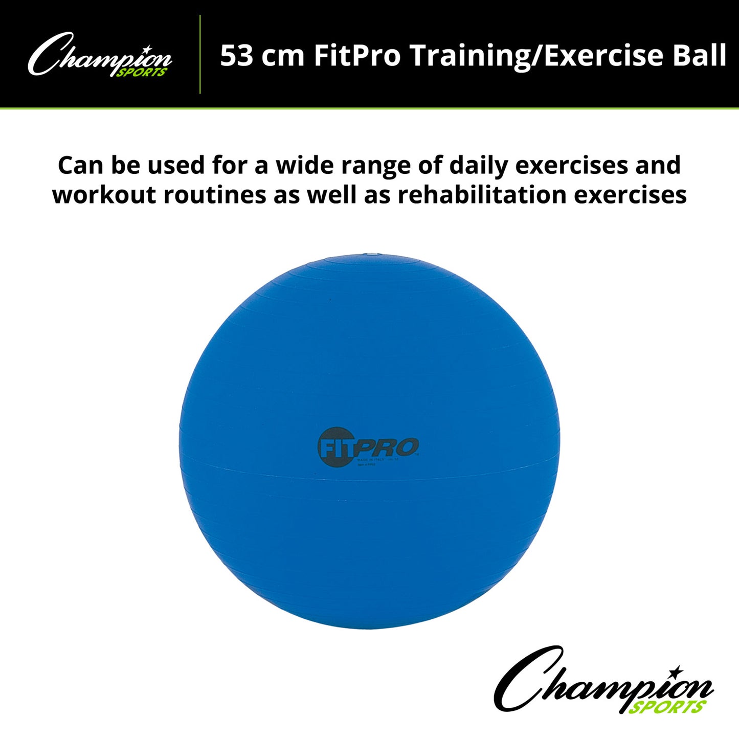 FitPro Training & Exercise Ball, 53cm, Blue