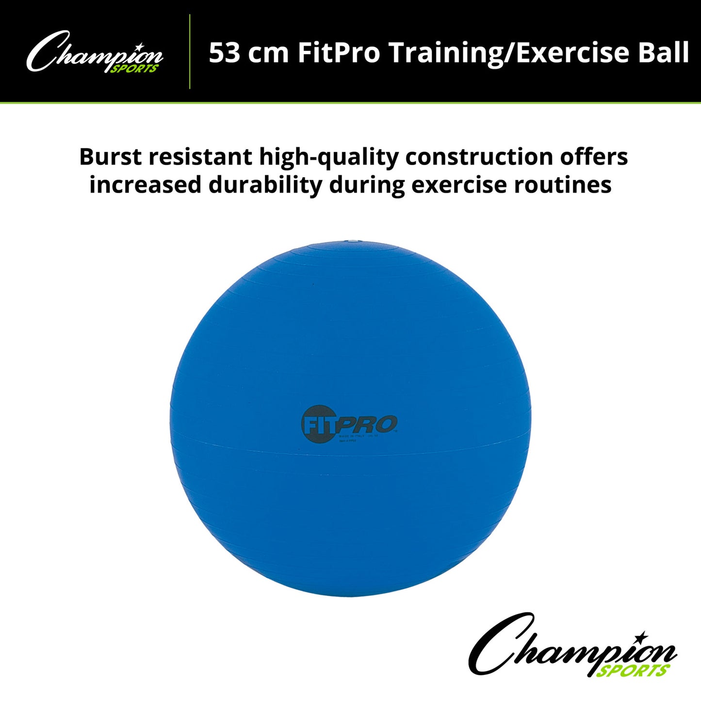 FitPro Training & Exercise Ball, 53cm, Blue