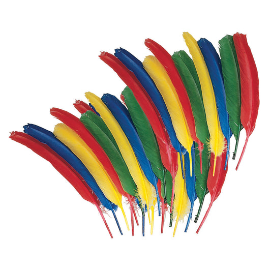 Quill Feathers, Assorted Colors, 12", 24 Pieces