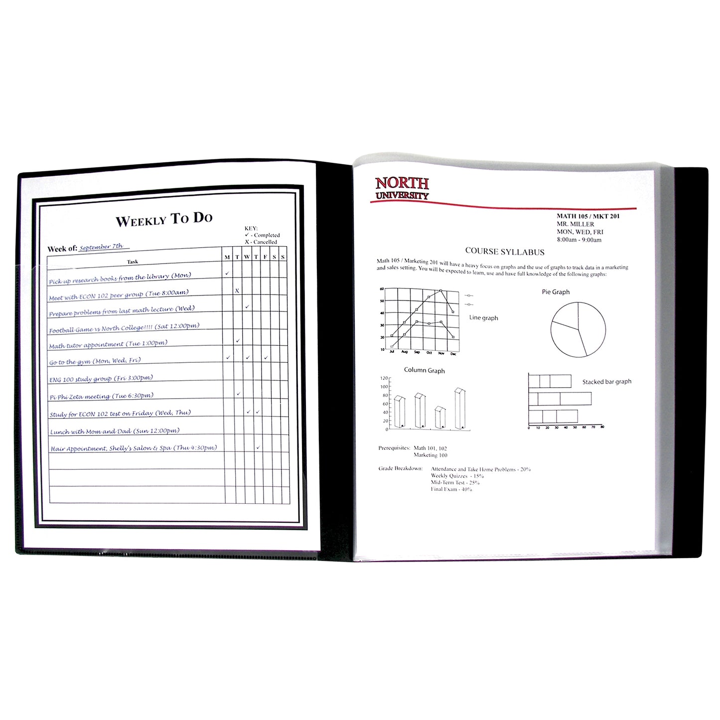 Bound Sheet Protector Presentation Book, 12-Pocket