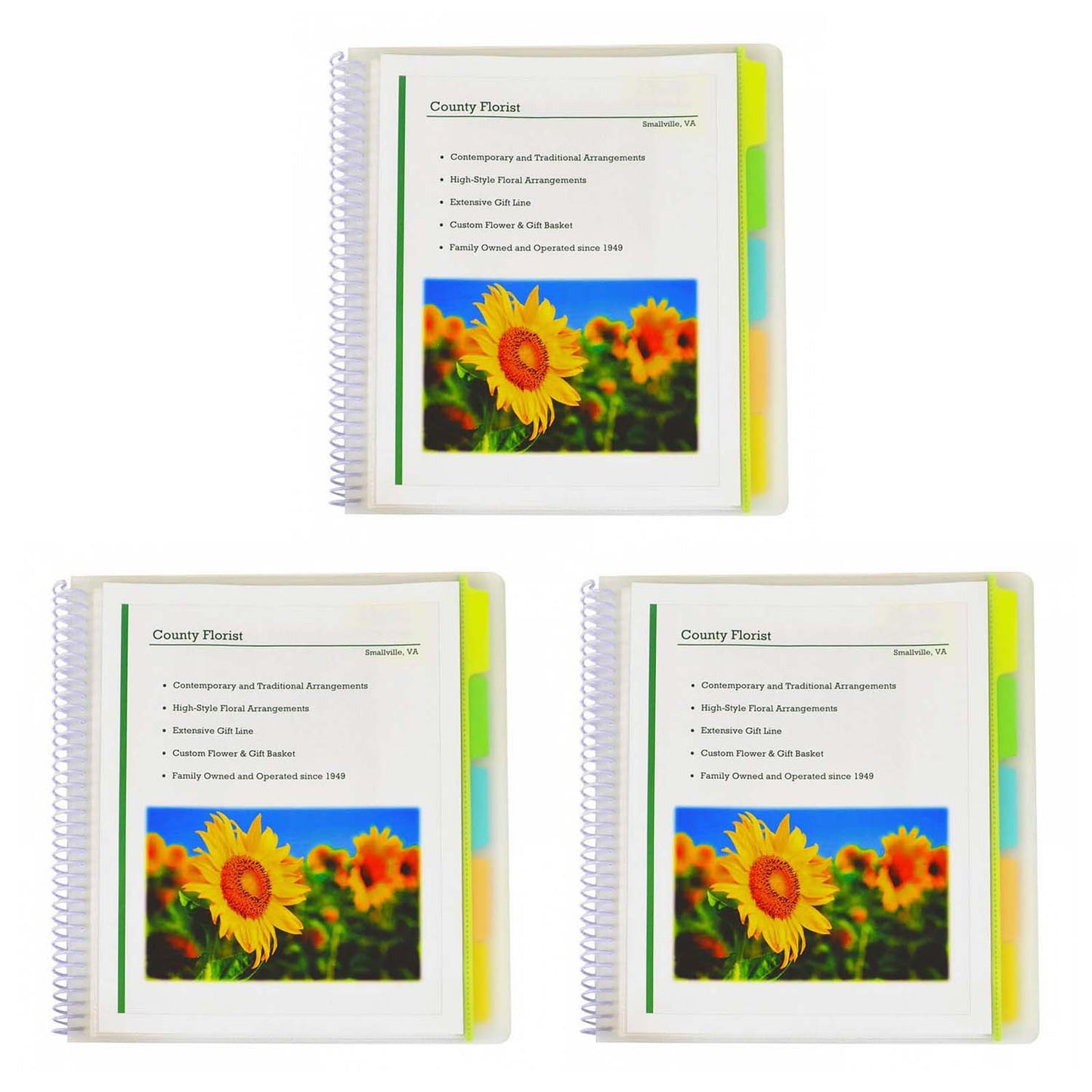 10-Pocket Poly Portfolio with Write-On Index Tabs, Spiral Bound, 5-Tab, Clear with Assorted Color Tabs, Pack of 3