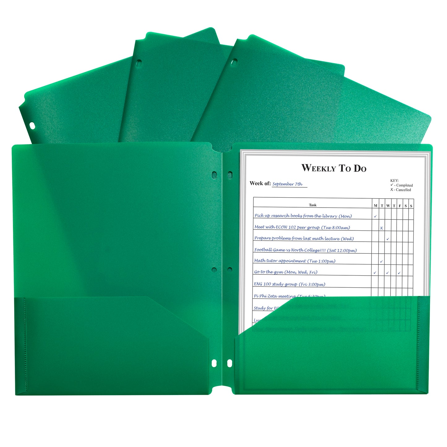 Two-Pocket Heavyweight Poly Portfolio Folder with Three-Hole Punch, Green, Each