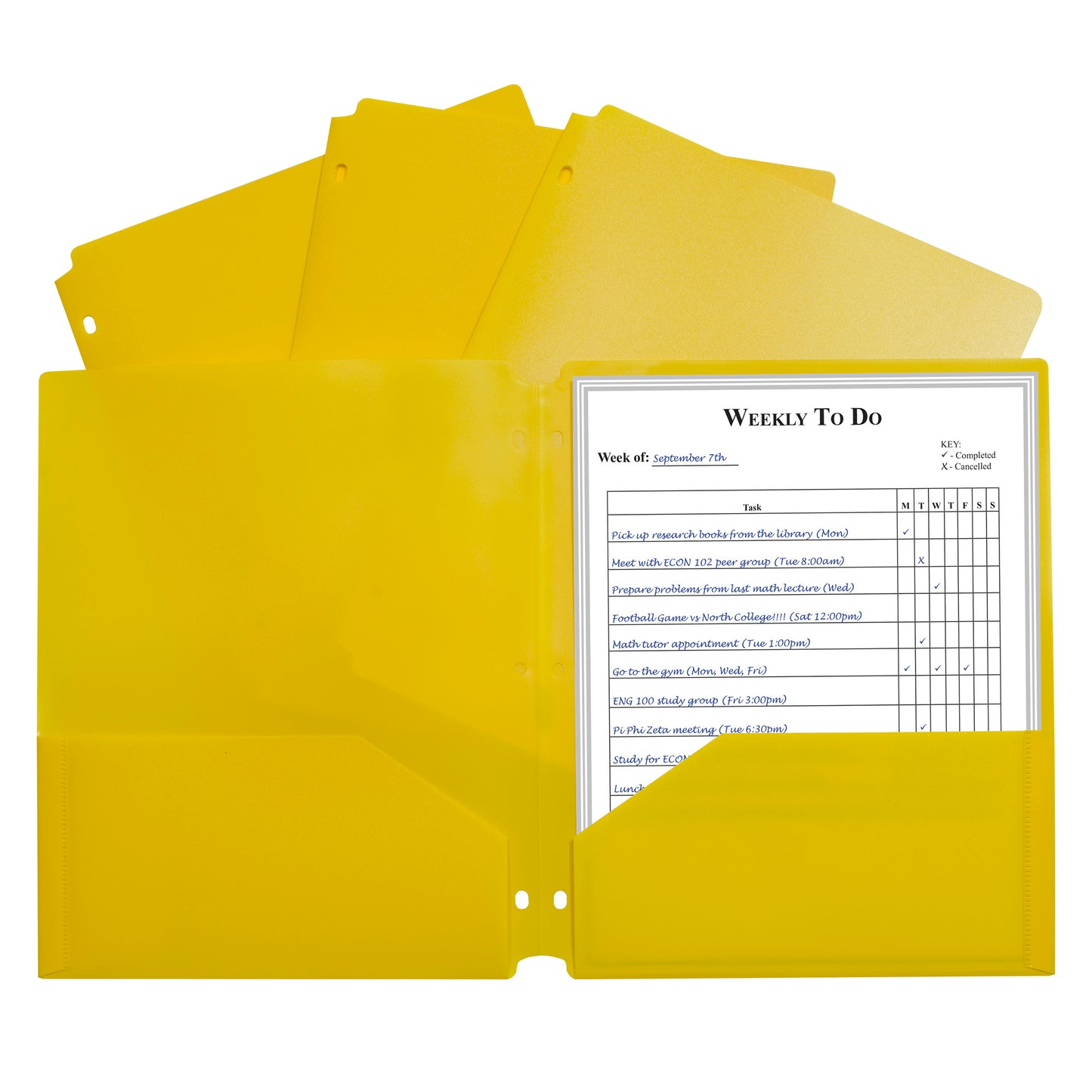 Two-Pocket Heavyweight Poly Portfolio Folder with Three-Hole Punch, Yellow, Pack of 25