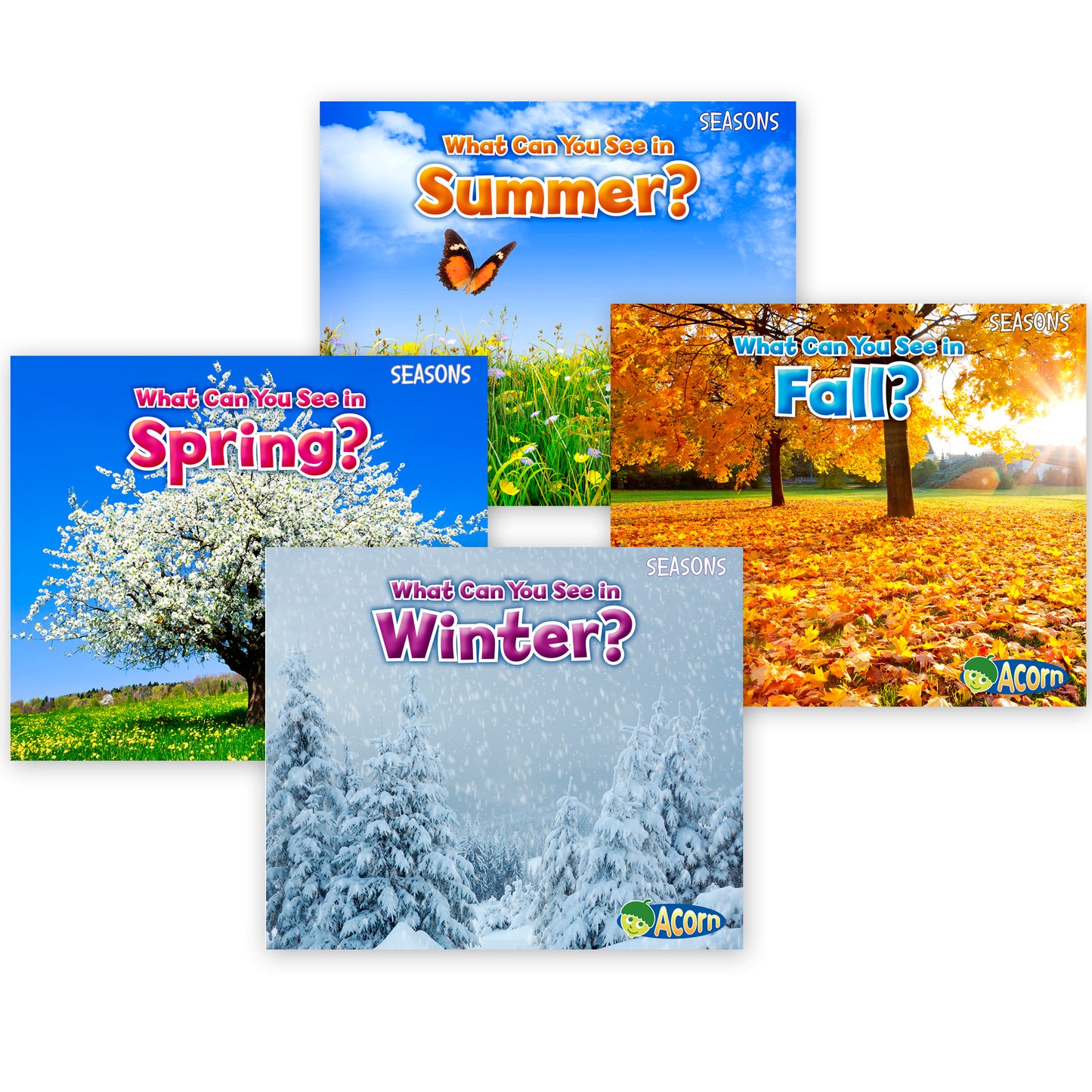 Seasons Book Set, Set of 4 titles