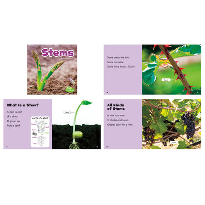 Plant Parts, Set of 6 books