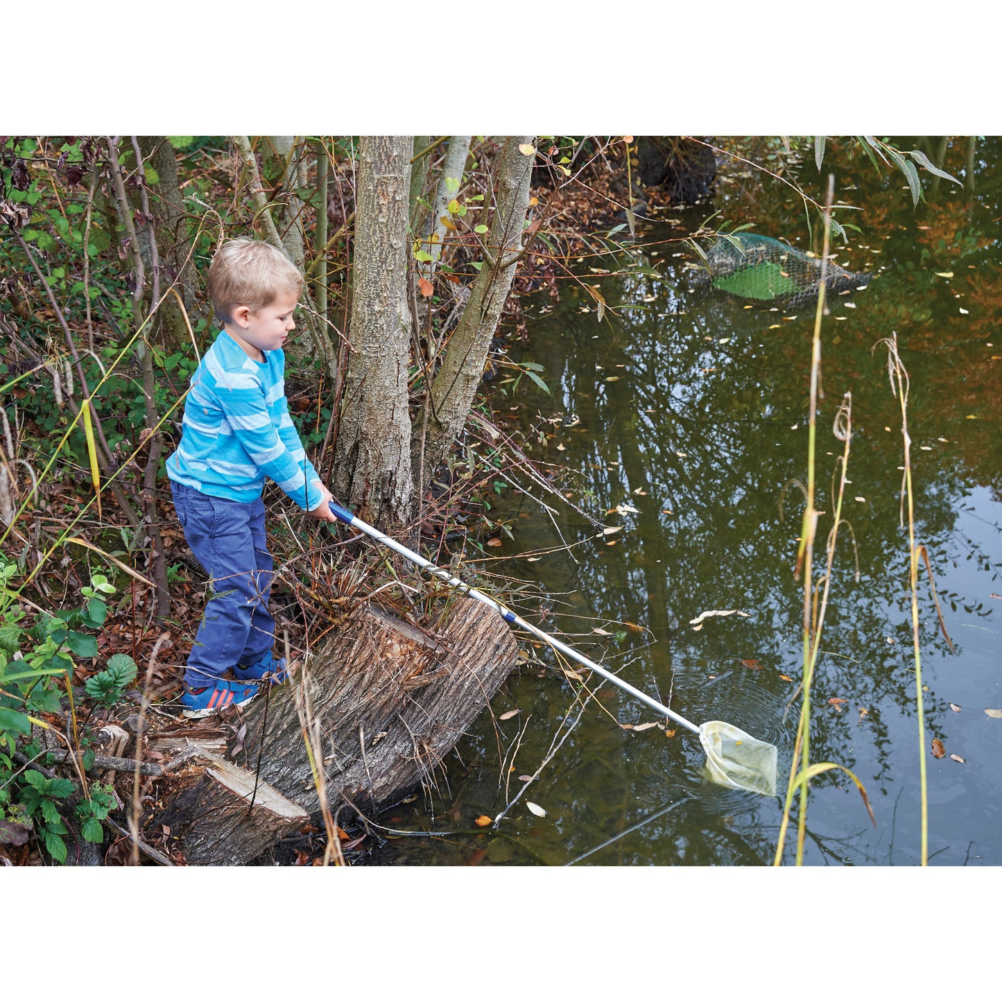 Telescopic Pond Net - Extendable Handle 20" to 40" - Strong, Lightweight Aluminum with Fine, Knotless Mesh, Pack of 2