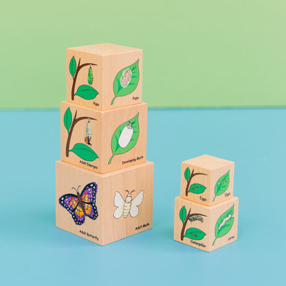 Lifecycle Wooden Blocks - Set of 5