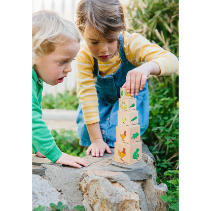 Lifecycle Wooden Blocks - Set of 5