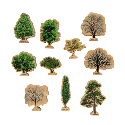 Seasons Wooden Trees