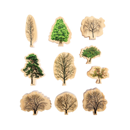 Seasons Wooden Trees