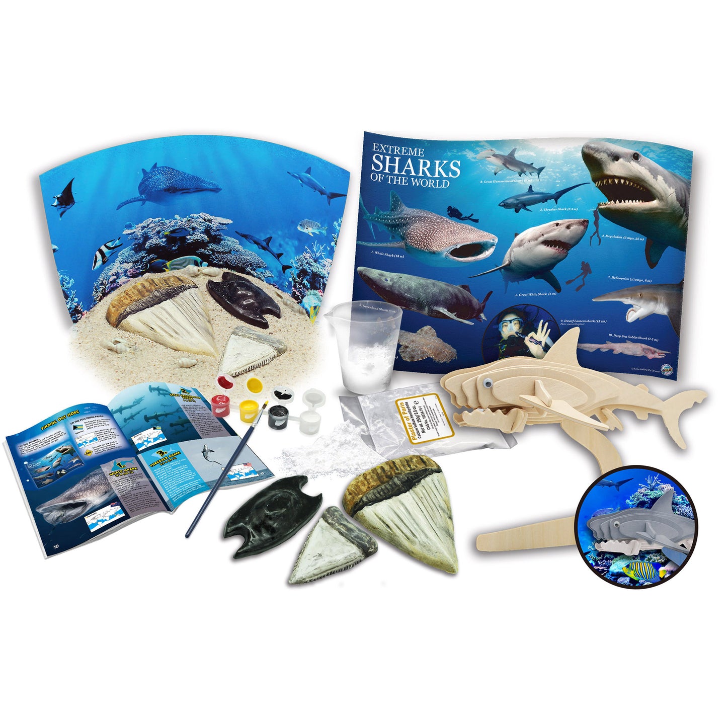 Extreme Sharks of the World - For Ages 6+ - Create and Customize Models and Dioramas - Study the Most Extreme Animals