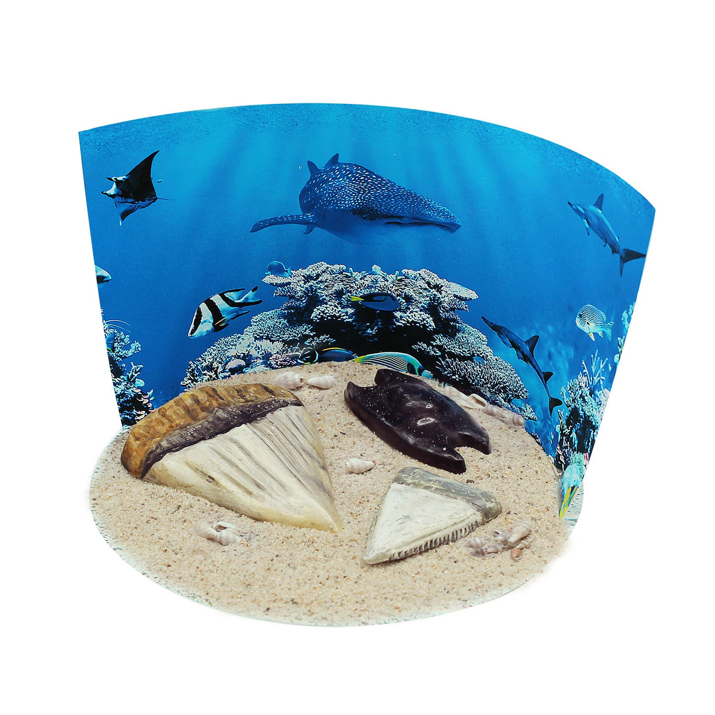 Extreme Sharks of the World - For Ages 6+ - Create and Customize Models and Dioramas - Study the Most Extreme Animals