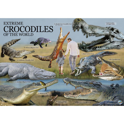 Extreme Crocodiles of the World - For Ages 6+ - Create and Customize Models and Dioramas - Study the Most Extreme Animals