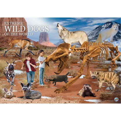 Extreme Wild Dogs of the World - For Ages 6+ - Create and Customize Models and Dioramas - Study the Most Extreme Animals