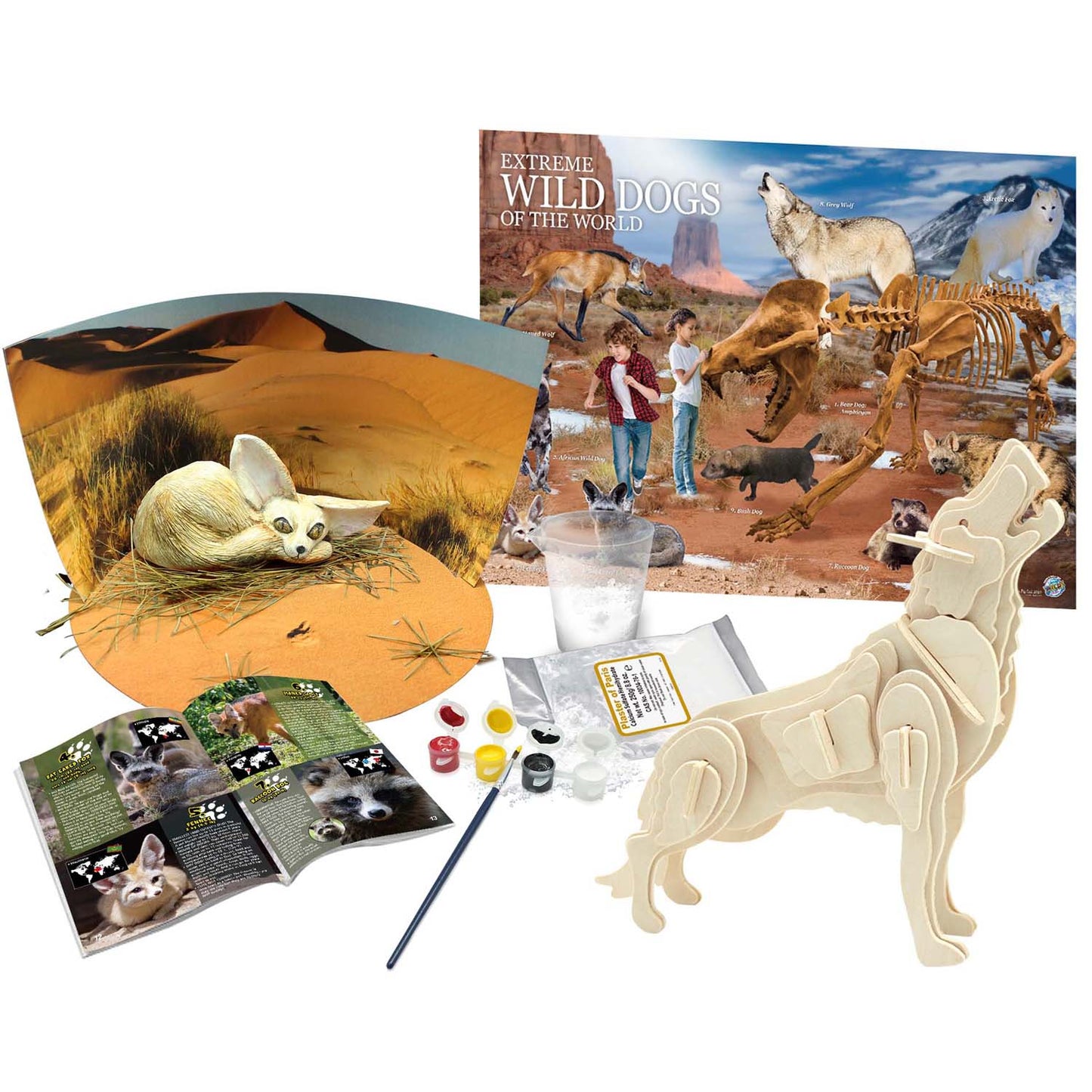 Extreme Wild Dogs of the World - For Ages 6+ - Create and Customize Models and Dioramas - Study the Most Extreme Animals