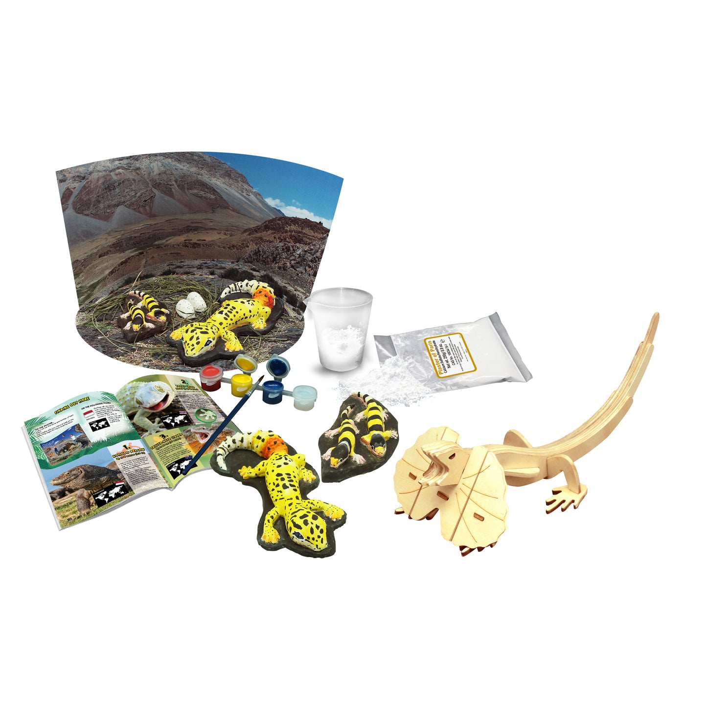 Amazing and Bizarre Lizards of the World - For Ages 6+ - Create and Customize Models and Dioramas - Study the Most Extreme Animals