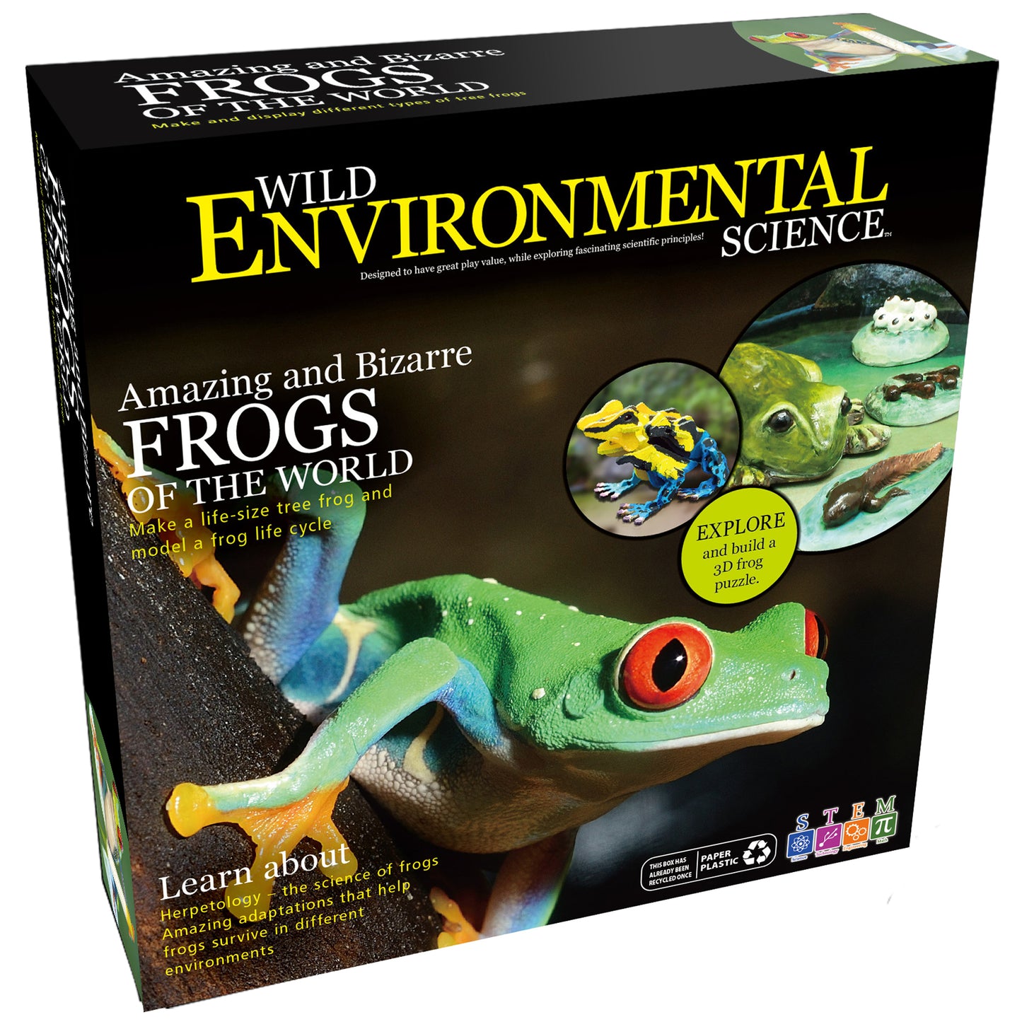 Amazing and Bizarre Frogs of the World - For Ages 6+ - Create and Customize Models and Dioramas - Study the Most Extreme Animals