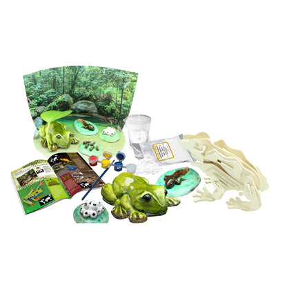 Amazing and Bizarre Frogs of the World - For Ages 6+ - Create and Customize Models and Dioramas - Study the Most Extreme Animals