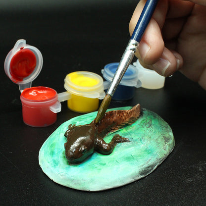 Amazing and Bizarre Frogs of the World - For Ages 6+ - Create and Customize Models and Dioramas - Study the Most Extreme Animals