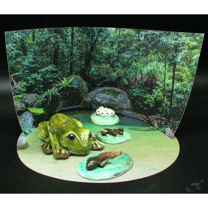 Amazing and Bizarre Frogs of the World - For Ages 6+ - Create and Customize Models and Dioramas - Study the Most Extreme Animals