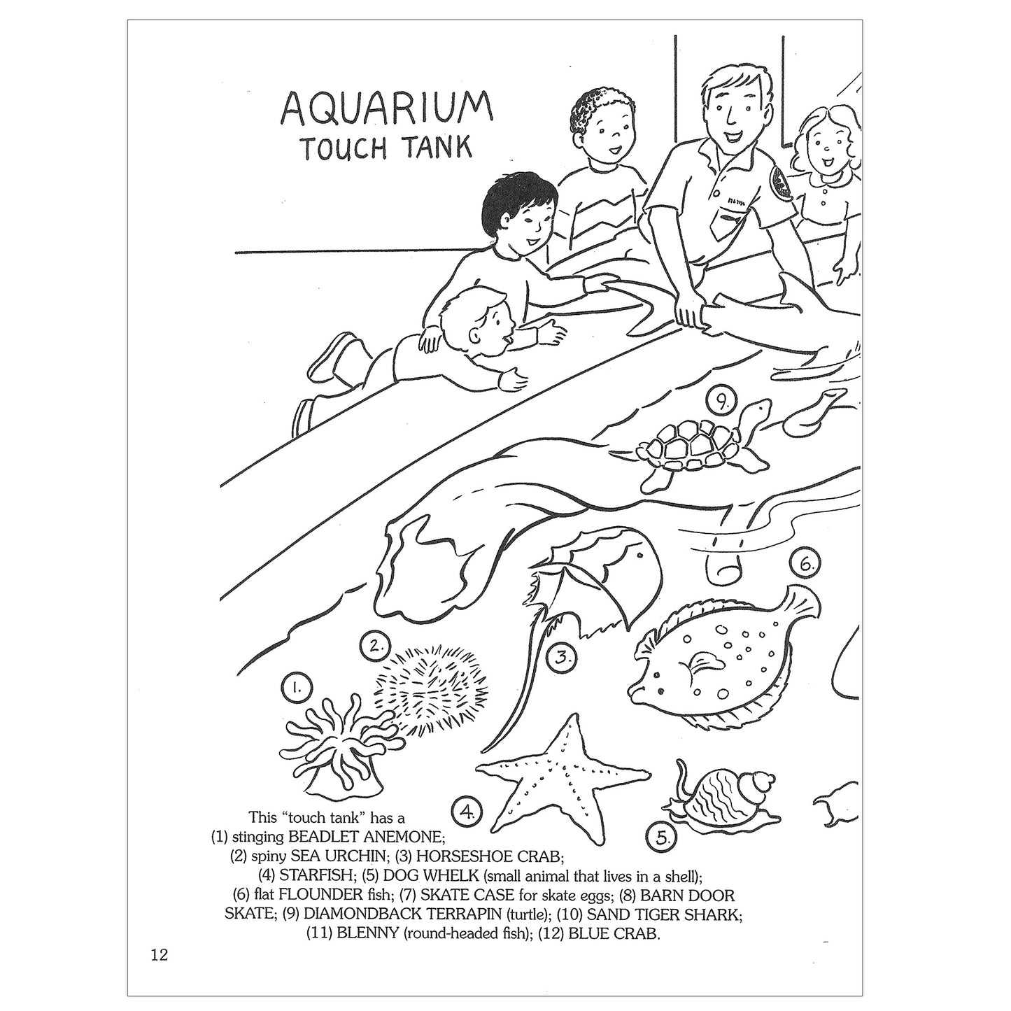 At The Aquarium Coloring Book, Pack of 6