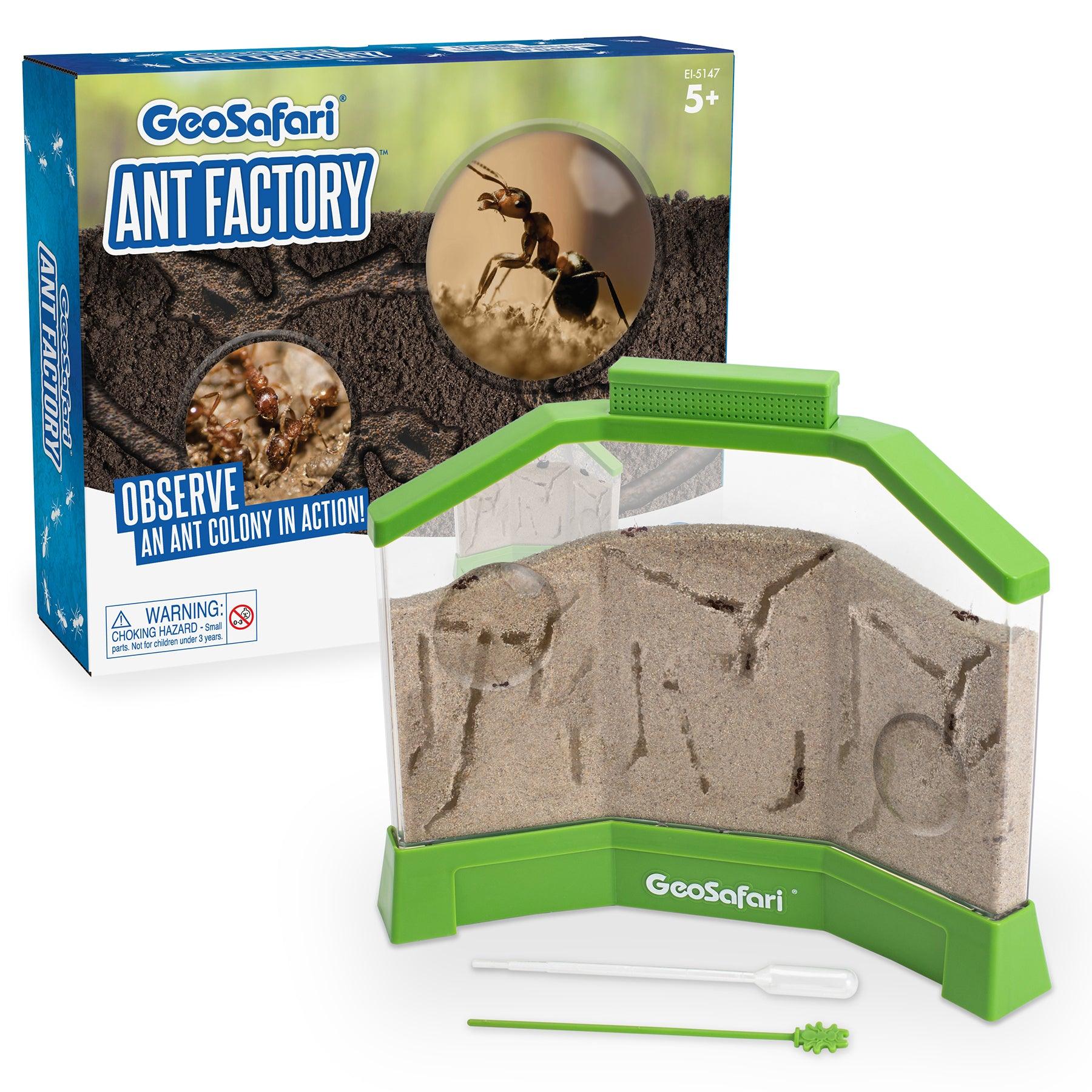 GeoSafari® Ant Factory™ - Loomini